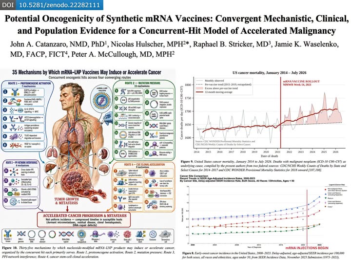 Epidemiologo Nicolas Hulscher: un nuovo studio mostra che i vaccini a mRNA potrebbero CAUSARE o ACCELERARE IL CANCRO attraverso 35 meccanismi distinti.