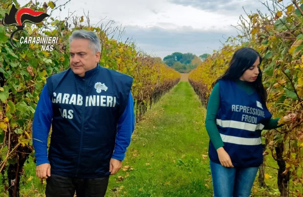 Carabinieri del Nas e ispettrice Icqrf in un vigneto durante i controlli