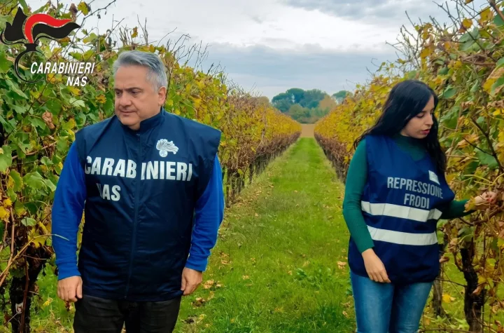 Carabinieri del Nas e ispettrice Icqrf in un vigneto durante i controlli